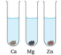 سرعة تفاعل الفلزات Ca, Mg, Zn مع الماء
